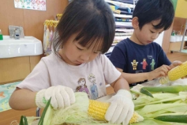 給食